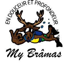 Logo Brâmas